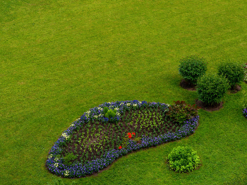 Hard & Soft Landscaping